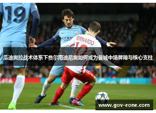 瓜迪奥拉战术体系下费尔南迪尼奥如何成为曼城中场屏障与核心支柱