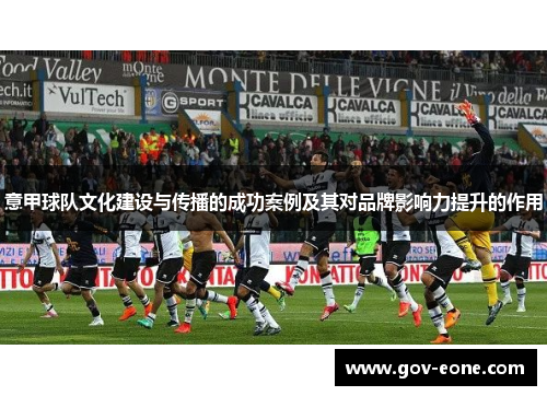 意甲球队文化建设与传播的成功案例及其对品牌影响力提升的作用