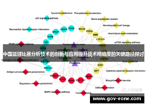 中国篮球比赛分析技术的创新与应用提升战术精确度的关键路径探讨