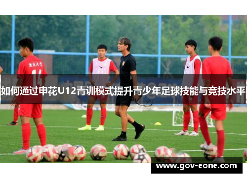 如何通过申花U12青训模式提升青少年足球技能与竞技水平