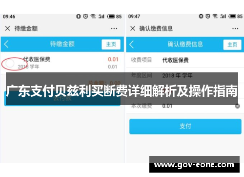 广东支付贝兹利买断费详细解析及操作指南