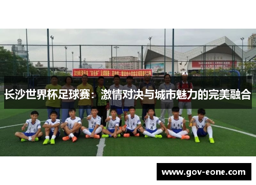 长沙世界杯足球赛：激情对决与城市魅力的完美融合